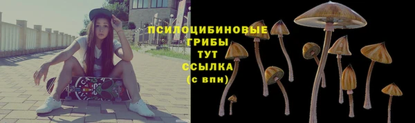 ECSTASY Абинск