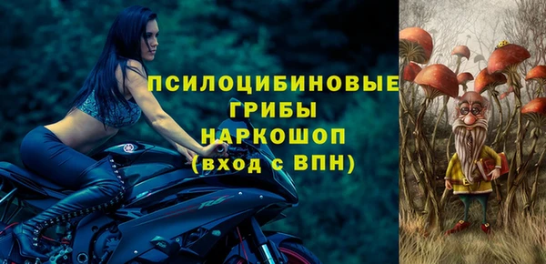 крисы Переславль-Залесский