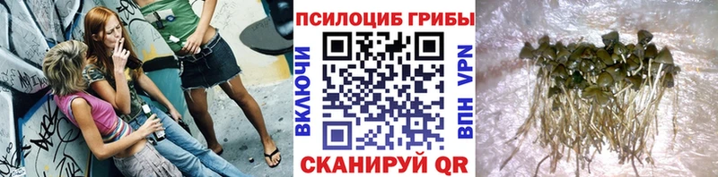 kraken вход  Ковдор  Галлюциногенные грибы ЛСД  где найти  